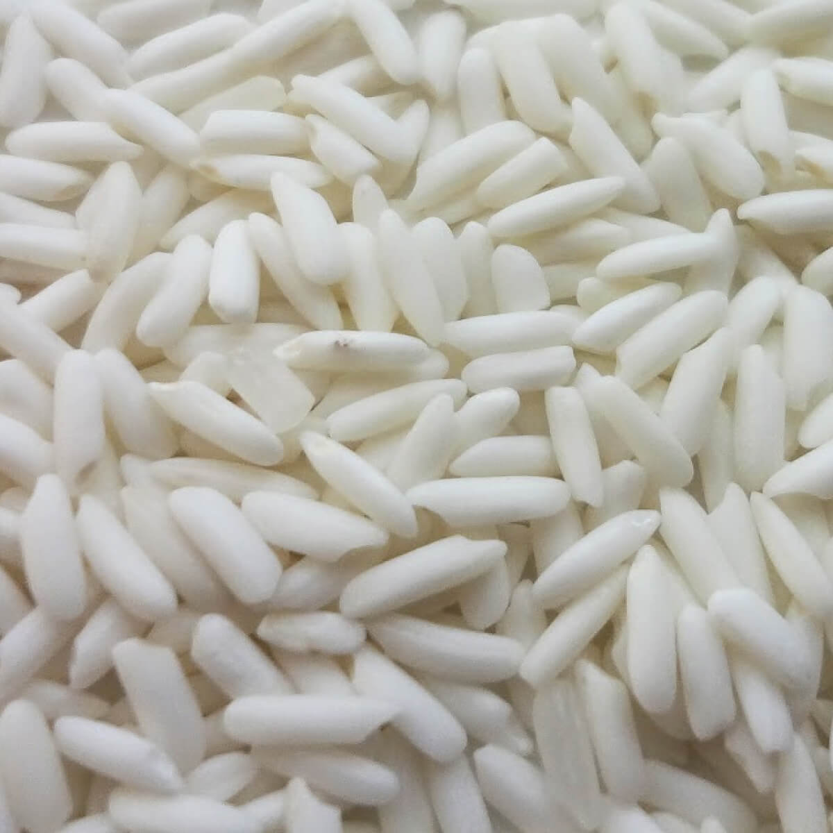 Glutinous Rice: White Grain
